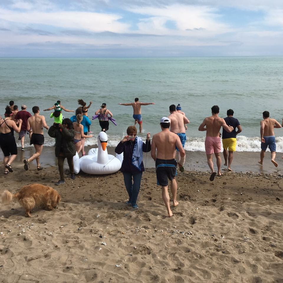 Plungers rushing into the lake with an inflatable swan